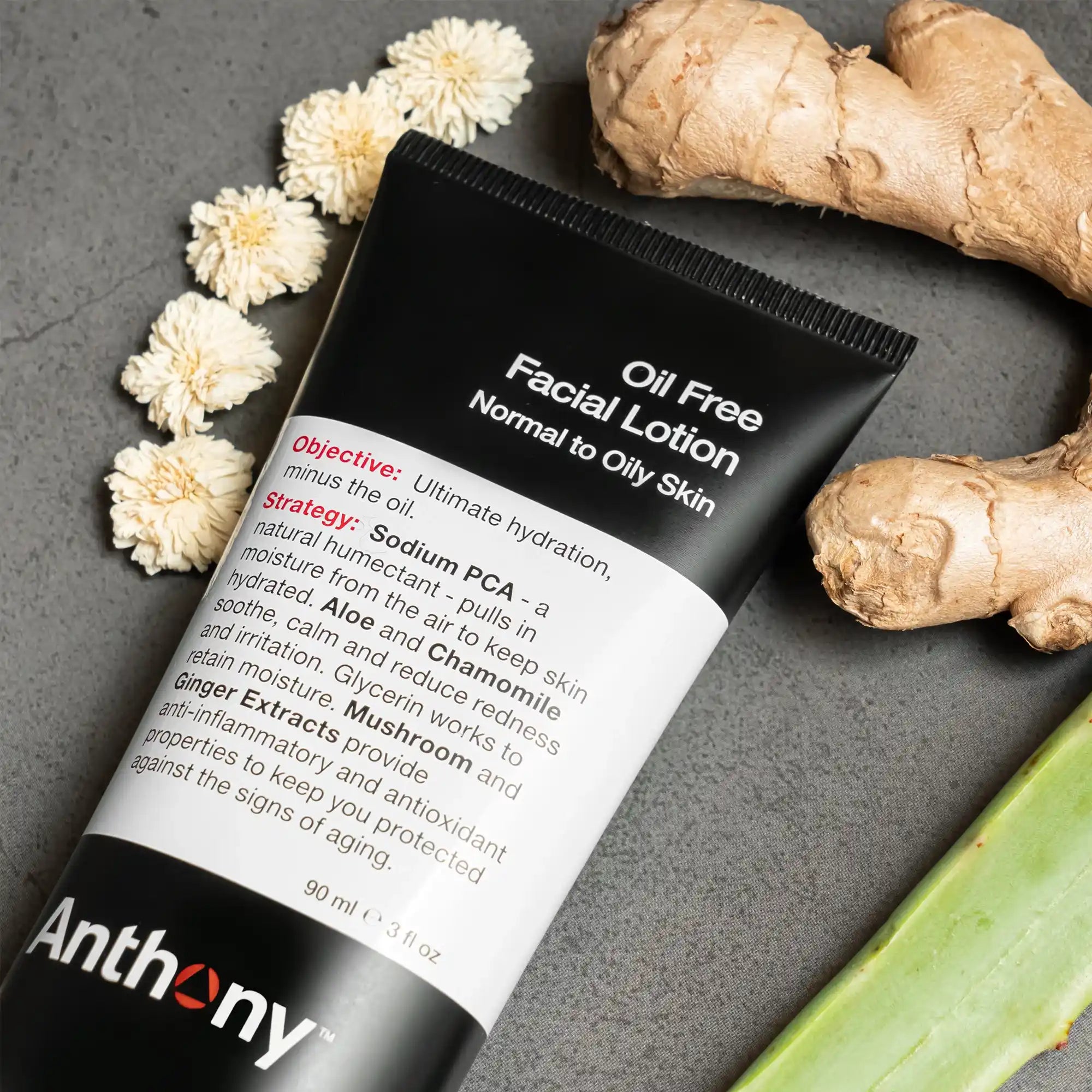 
                  
                    Oil Free Facial Lotion
                  
                